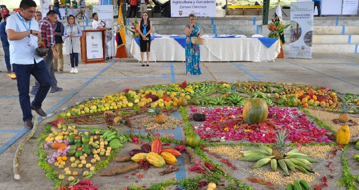 Productores De Zamora Chinchipe Intercambiaron Semillas Nativas El