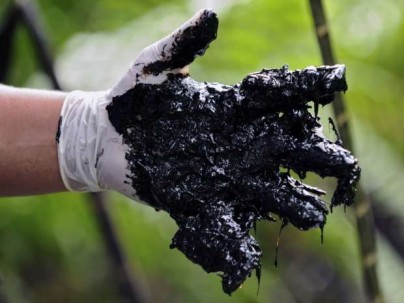 A ação judicial contra a Chevron era sobre danos ambientais na floresta amazônica.