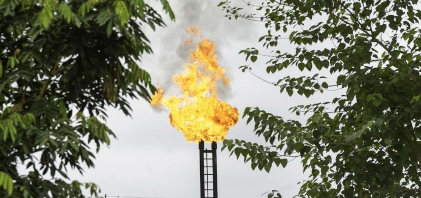 Petroamazonas EP produce alrededor de 425.000 barriles equivalentes de petróleo por día, con un costo total promedio de $ 17,89 por barril.  Foto: El Telégrafo