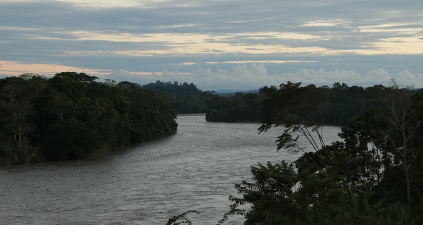 Indígenas recogen El grito de la selva para defender la vida de la Amazonía / Foto: El Oriente