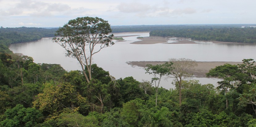 La Amazonía se encuentra inmersa en un punto de no retorno debido a las altas tasas de deforestación y degradación, según el informe 