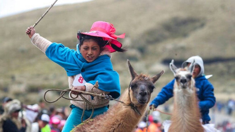 Milena Jami participa en una carrera de llamas en el Parque Nacional Llanganates de Ecuador el 8 de febrero del 2020. Un grupo de ecuatorianos realizaron una competencia de niños montando llamas como un llamado de atención para la protección de fuentes de agua. DOLORES OCHOA AP PHOTO