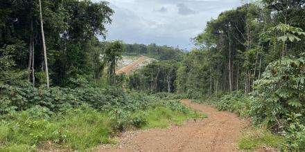 Guyana obtuvo $ 989,9 millones por la producción de oro en 2024