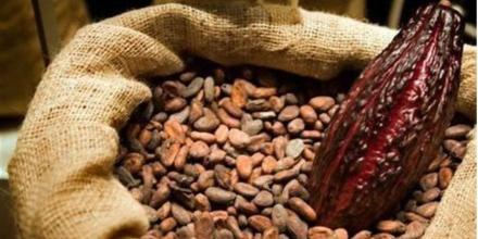 La tonelada de cacao alcanzó los $ 12.349 