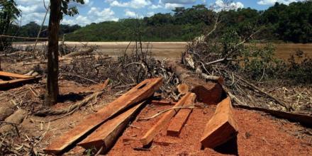 Perú organizó congreso para combatir la deforestación en la Amazonía 