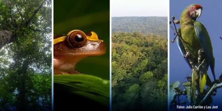 La Reserva Río Anzu se convierte en la primera OMEC de Ecuador 