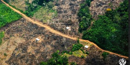 Colombia: Observatorio para combatir delitos ambientales en la Amazonía será creado 