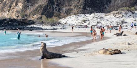 Galápagos recibió 280.000 turistas en 2024, 15 % menos que en 2023