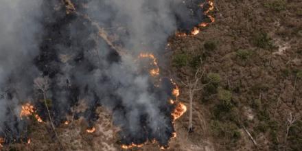 La Amazonía peruana ha registrado 817.634 incendios desde 2020 