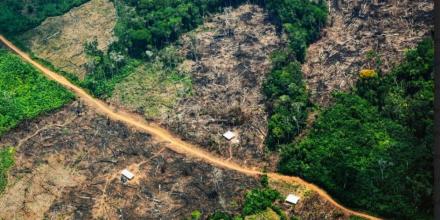 El cierre de USAID preocupa a líderes indígenas de la Amazonía colombiana 