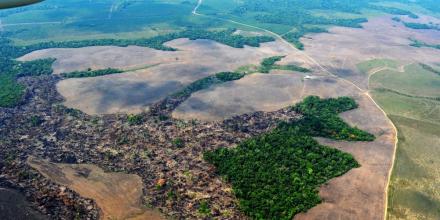 Colombia: La pérdida de bosque en la Amazonía aumentó 223,52 % 