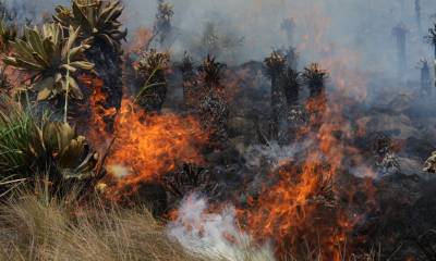 Militares y bomberos trabajan juntos para controlar el fuego / Foto: EFE