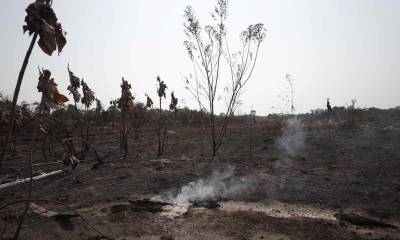 Unicef remarcó que los incendios forestales a menudo son provocados por la acción humana / Foto: EFE