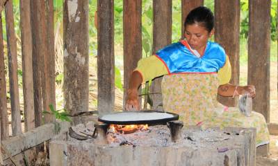 La mayoría de los alimentos en la Amazonía ecuatoriana tienen un alto contenido nutricional / Foto: El Oriente 