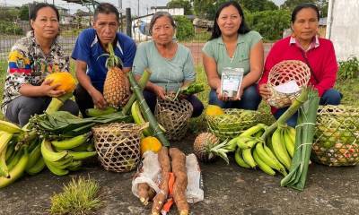 Las canastas contienen plátano, yuca, limón, piña, jamaica... / Foto: cortesía MAG