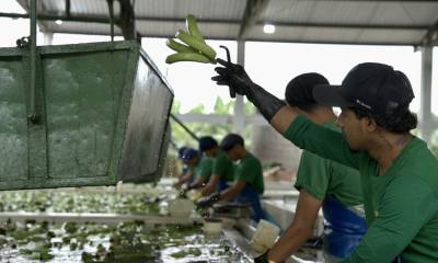 El elemento central de 'Fincas Seguras' será el Ciepris / Foto: EFE