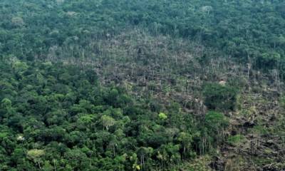 La Amazonía ha perdido en menos de cuatro décadas un área casi tan grande como Colombia / Foto: cortesía MAAP