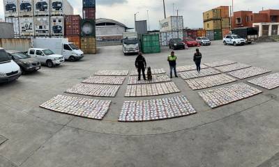 La incautación se realizó al inspeccionar el contenedor antes de ser embarcado en uno de los muelles del puerto de Guayaquil / Foto: cortesía Policía Nacional