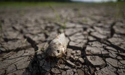 El 71 % de la deforestación registrada en este informe se situó en la cuenca del Amazonas / Foto: EFE