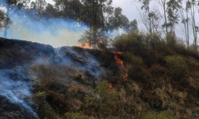 La SNGR  informó que en un mes se registraron más de 1.300 incendios forestales / Foto: EFE