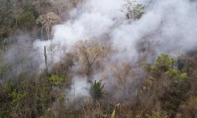 Todos los incendios que se producen a nivel nacional tienen origen humano / Foto: EFE