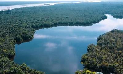 Los bosques circundantes albergan una rica diversidad biológica/ Foto: cortesía Ecuador y sus paisajes