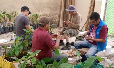 Ecuador es líder en la producción de cacao fino de aroma / Foto: cortesía MAG