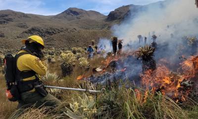 El COE de la provincia de Carchi reforzará las acciones que permitan poner fin al incendio en esa reserva ecológica / Foto: cortesía Bomberos de Quito