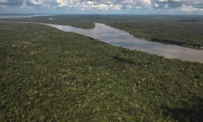 Brasil devastó en promedio a cada día del año pasado 56,4 kilómetros cuadrados de selvas, sabanas o flora campestre, área del tamaño de un país como Bermudas / Foto: EFE