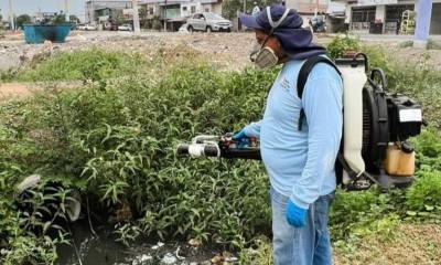 Las campañas de fumigación contra el dengue continúan a nivel nacional / Foto: cortesía Ministerio de Salud