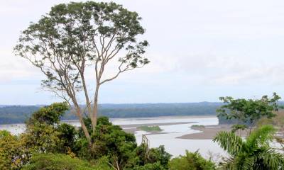 Tiene una extensión de 1.022.736 hectáreas, distribuidas en las provincias de Orellana y Pastaza/ Foto: El Oriente