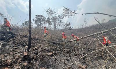 El Indeci recomendó no encender fuego cerca de bosques ni pastizales / Foto: cortesía Ministerio de Defensa del Perú