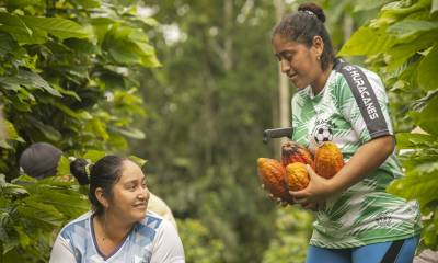 A Italia y Bélgica llegaron los primeros envíos de café y cacao de plantaciones de Ecuador que no han sido previamente deforestadas / Foto: EFE