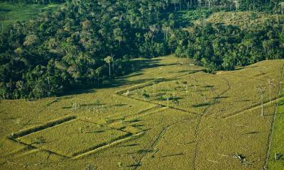 Las sociedades indígenas en la cuenca del Amazonas fueron creando estructuras y paisajes que han influido en la composición espacial de los bosques modernos/ Foto: cortesía EFE