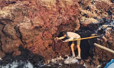 El censo se desarrolló en el oeste del archipiélago / Foto: cortesía Parque Nacional Galápagos