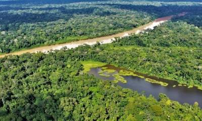 Es la conclusión del estudio publicado por la Red Amazónica de Información Socioambiental (RAISG) / Foto: cortesía