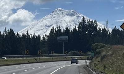 Se espera que estos números continúen creciendo durante el segundo semestre / Foto: El Oriente