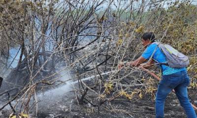 De acuerdo a las autoridades, los restos de una fogata habrían sido los detonantes del flagelo / Foto: cortesía Gobierno de Galápagos