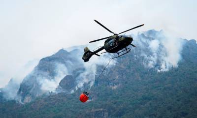 Unas 1.400 hectáreas han sido afectadas por los incendios / Foto: EFE