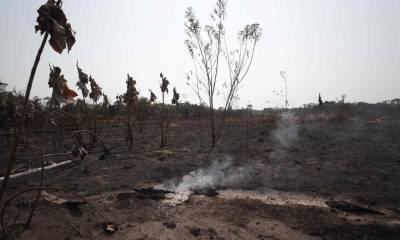 Unicef remarcó que los incendios forestales a menudo son provocados por la acción humana / Foto: EFE