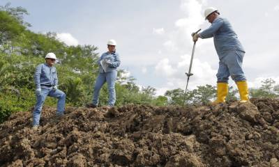 Petroecuador, a través de su programa Amazonía Viva, realiza trabajos de remediación en la Amazonía/Foto: cortesía Petroecuador