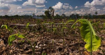 Solo el 34 % de las tierras agrícolas en Perú tienen títulos de propiedad / Foto: cortesía Oxfam