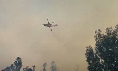 El alcalde de Quito, Pabel Muñoz, indicó que no son casuales/ Foto: cortesía Bomberos de Quito