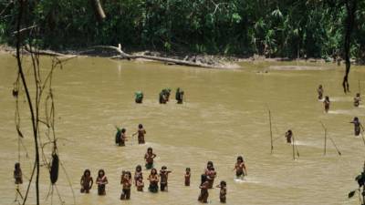 Los pueblos indígenas criticaron al FSC por no actuar frente a lo que califican como violaciones de derechos humanos / Foto: cortesía 