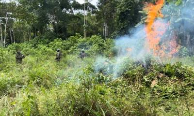 Principales noticias de Ecuador hoy - 15 de octubre de 2024 / Foto: cortesía Fuerzas Armadas