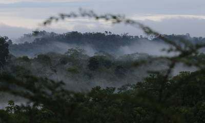 Beneficiará a las 6 provincias de El Oriente/ Foto: El Oriente