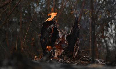 Uno de los incendios se mantiene activo en el distrito de San José Alto / Foto: EFE