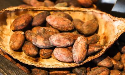 La demanda del cacao se mantiene en Norteamérica y Europa / Foto: Pixabay