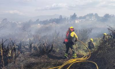 Principales noticias de Ecuador hoy - 12 de septiembre de 2024 / Foto: cortesía Bomberos de Quito