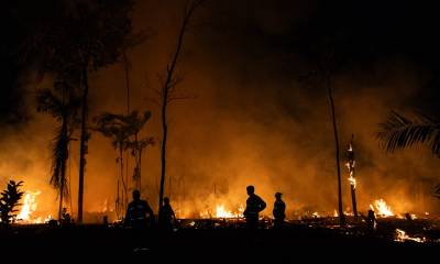 En abril se registraron 1.117 focos de incendio / Foto: EFE